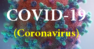 Talking to Children About COVID-19 (Coronavirus) A Parent Resource